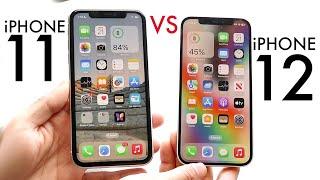 iPhone 12 Vs iPhone 11 In 2024! (Comparison) (Review)