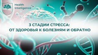 3 СТАДИИ СТРЕССА: от здоровья к болезням и обратно