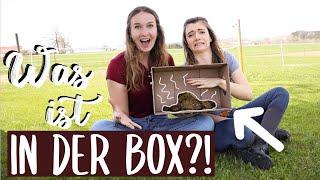 WAS IST IN DER BOX - CHALLANGE mit Anna | vic.adventure