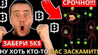 ️BLUM - СРОЧНО! ВСЕГО 7 ДНЕЙ 🟢 СТАНЬ ПЕРВЫМ И ЗАБЕРИ $5000 ОТ БЛУМ 🟢 НУ ХОТЬ КТО-ТО НАС ЗАСКАМИТ!