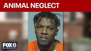 Animals seized from Milwaukee home; man charged again after conviction | FOX6 News Milwaukee