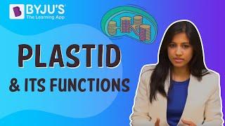 Plastid and its Functions