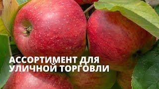 Ассортимент для уличной торговли. Закупаю