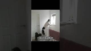skinwalker disguised as animals PRT-5 ️ #viral #ytshorts