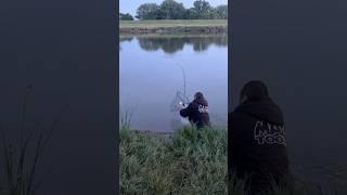 Дикие карпы гнут удилище. #fishing #carpfishing #рыбалканаозере #рыбалканафидер #carp #рыбалка