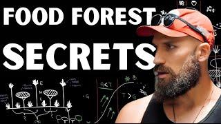 The Food Forest Masterclass That *Shouldn’t Be Free