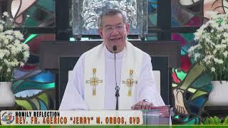 𝗜 𝗦𝗧𝗔𝗡𝗗 𝗙𝗢𝗥 𝘁𝗵𝗲 𝗙𝗔𝗧𝗛𝗘𝗥, 𝗦𝗢𝗡 & 𝗛𝗢𝗟𝗬 𝗦𝗣𝗜𝗥𝗜𝗧 | HOMILY 15 June 2025 with Fr. Jerry | Holy Trinity Sunday