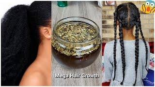 Use This Herbal Oil For Massive Thicker Hair | Reverse Alopecia Block DHT Stop Thinning & Baldness