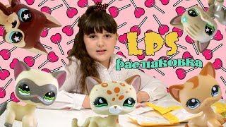 LPS распаковка посылок с Aliexpress и Ebay  / МНОГО КОШЕК СТОЯЧЕК / Долгожданные пэты/ LPS CAT