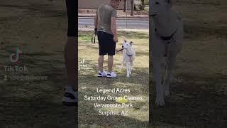 **Legend Acres Group Classes: From Fundamentals to Advanced**  **Location:** Surprise, AZ #legend