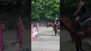 After my trainer realized this ws a 5 1/2 stride#equestrianjourney #horseenthusiast #pony