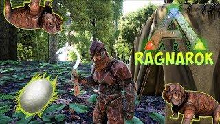 НОЧНОЙ СБОР ШЕЛКА ПОД ДОЖДЕМ - ARK: Survival Evolved (Ragnarok) #6