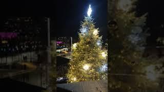 the Christmas party park krasnodar