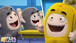 Maestro del Año | Caricaturas | Videos Graciosos Para Niños | Oddbods