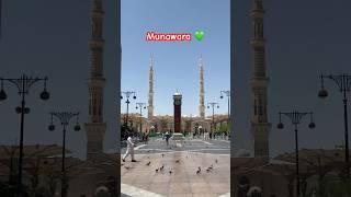 The City of Light: Madina Munawwara #shorts #madina #makkah