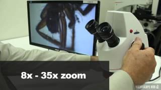 4D Educational Stereo Microscope Overview