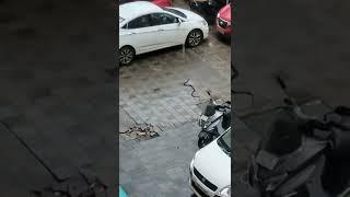 Snake in Monsoon | Snake Caught On Camera | #monsoon #snake #mumbaimonsoon