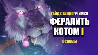 ФЕРАЛ КОТ ДПС ГАЙД | Учимся быть КОТОМ с Шэдо | Эпизод I: Основы. | World of Warcraft: Classic