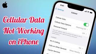 Cellular Data Not Working After iOS 18 Update (Fixed)