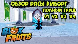 Обзор Расы Киборг V1 V2 V3 V4 Блокс Фрукт