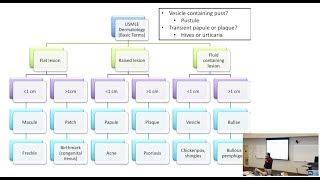 HyGuru USMLE Step 1: Dermatology | Introduction to Dermatology