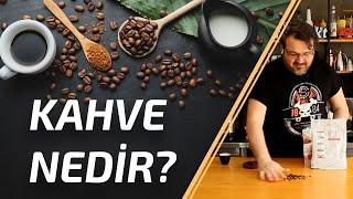 Kahvenin Hikayesi / Kahve Nesilleri Nedir? / Kahvenin Kavrulma Dereceleri