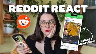 HOUSEPLANT REDDIT | oozing cactus, selling dead plants, and more ‍️🪴
