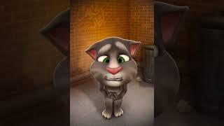 Talking tom Cat Activity park