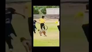 Monkey kick #shorts #viralvideo #funny #monkey #kick l