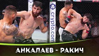 БОЙ: Магомед Анкалаев - Александр Ракич | UFC 308