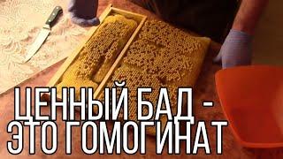 Гомогенат или трутневое молочко. Как сделать и хранить трутневый гомогенат.